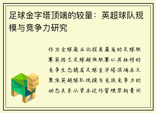 足球金字塔顶端的较量：英超球队规模与竞争力研究