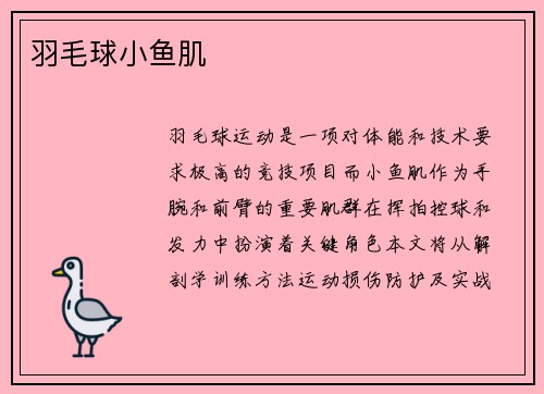 羽毛球小鱼肌